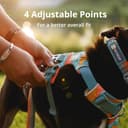 RUFFWEAR Pettorina Front Range per Cani Extra Large, a Y Riflettente, Regolabile e Imbottita per Passeggiate Quotidiane e Corsa, L/XL, Blue Pool - 7