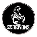 Distrigeek Pin Scorpions anstecker anstecknadel Badge Hard Rock Band Metall Rund Schwarz Geschenkidee für Fans Damen Herren 3cm - 1