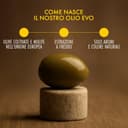 Olio Extravergine di Oliva Classico De Cecco | 6 Bottiglie da 1 L (0,916 L cad.) | Totale 5 Litri | Formato Scorta Convenienza - 3