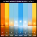 Philips Hue Bombilla LED Inteligente A67, White and Color Ambiance, Luz Blanca y de Colores, E27, 11,8W, Regulable 1000-20.000 K, 1600 lm, Alexa, Google Assistant y Apple Home, Pack de 1 - 2