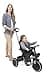 Chicco, 4in1 Trike Triciclo con Estructura de Metal, Ruedas Goma EVA, Cinturón de 4 Puntos, Manillar Telescópico y Capota Desmontable, Cochecito con Asiento Reversible, Cesta, Juguete 6 Meses - 5 Años - 2