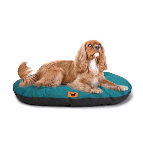 Ferplast Cuccia Cane Relax, Cuscino per cani di taglia media, Cuccia Gatto, Tappetino per cucce e auto -Lavabile - in Cotone con Soffice Imbottitura, 78 x 50 m. Turchese