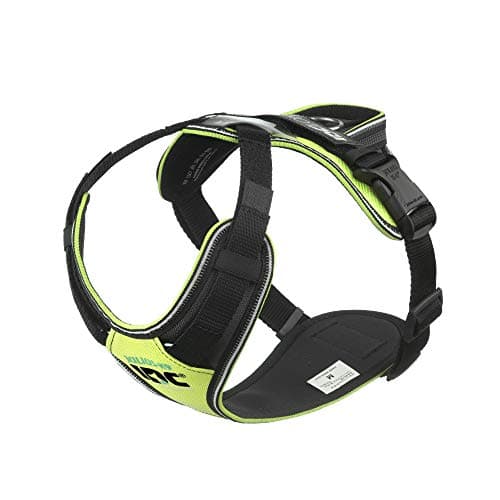 IDC Longwalk Harness, Neon/Grey, Size: M
