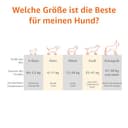 Amazon Basics Kühlendes erhöhtes Hund Haustierbett, Grau, Größe L, L 130 x B 80 x H 19 cm - 3