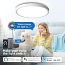 ANTENLICHT Lampada da soffitto LED Smart 24 W, compatibile con Alexa e Google Assistant Ø30 cm, controllabile tramite app con 16 milioni di colori fai da te,plafoniera WiFi con telecomando per camera - 5