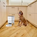 Groov-e Pet-Tech Smart Wi-Fi Pet Feeder – Automatic Cat and Small Dog 4L Dry Food Dispenser, Smart WiFi App Control, Up to 10 Meals Daily, Personalised Meal Call – Battery or Mains Powered – White - 3