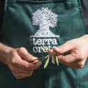 Terra Creta g.U. - Extra natives Olivenöl aus Kolymvari / 5 Liter - 5