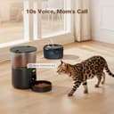 Distributore Automatico Cibo Gatti e Fontanella: Dispenser Cibo Gatto e Fontanella per Gatti - Mangiatoia Cani Timer Programmabile 1-6 Pasti - 3L Dosatore Crocchette e 2.4L Fontana Acqua Gatto 2 in 1 - 4