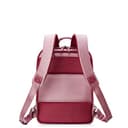 DELSEY Paris - Chatelet AIR 2.0 - Weiches Kabinengepäck 42 cm x 40 cm x 21 cm - 20 L - S - Rosa - 3