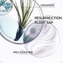 Kérastase Résistance Force Architecte, Champú Reconstituyente, Limpia e Hidrata en Profundidad, Cabello Fuerte y Revitalizado, Para Pelo Dañado y Sobreprocesado, Bain Force Architecte, 500 ml - 7