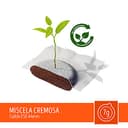 toraldo box cialde 44mm miscela cremosa 150pz - 3