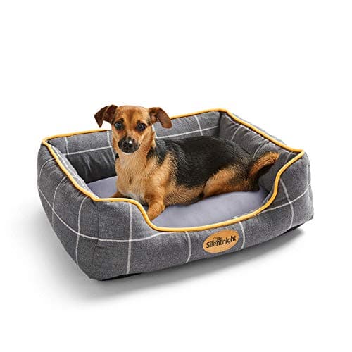 Silentnight Impress Memory Foam Pet Dog Bed – Small Cosy Comfortable Pet Bed for Puppy, Dog, Kitten or Cat – Machine Washable, Super Supportive with Memory Foam Cushion – Grey, Small
