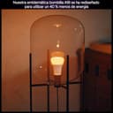 Philips Hue Bombillas LED Inteligentes A60, White and Color Ambiance, Luz blanca y de colores, E27, 6 W, Regulable 1000-20.000 K, 810 lm, Alexa, Google Assistant y Apple Home, Pack de 2 - 6