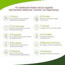 Le Fascine Olio Extravergine d'Oliva Provenzale Biologico 100% Italiano Prodotto da mono cultivar Provenzale (Latta da 3 Litri) - 3