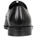 BOSS Tayil_Derb_tcbugr - 4