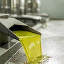 Kolymvari g.U. | Extra Natives Olivenöl | 5 Liter Kanister – Kreta, Griechenland | Premium Olivenöl | 100% Koroneiki Oliven | traditionelle Handernte | Kaltextraktion | niedriger Säuregehalt - 9