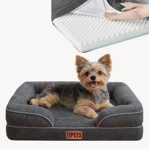 CORTES PETS Cuccia ortopedica per cani di taglia piccola – Divano per cani – Rivestimento sfoderabile e lavabile, bordi rialzati – Sofà – Memory Foam, impermeabile – Cuscino per cani 60 x 48 cm