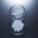 Lco genefique ad/light pearl las - 3