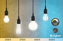 Paulmann 50391 LED Lampe Birne Smart Home Zigbee Filament E27 230V 470lm 4,7W Matt dimmbar Tunable White Leuchtmittel 2200-6500 K - 2