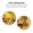 RUFFWEAR Hi & Light Y-Shaped Dog Harness, Extra Large, Lightweight & Padded, No Pull, Quick Release, 2 Lead Attachments, L/XL, Basalt Grey - 5