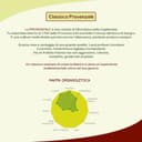 Le Fascine Classico - Olio Extravergine di Oliva 100% Italiano Estratto a Freddo Prodotto da Monocultivar Provenzale (Latta da 5 Litri) - 4