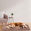 FERPLAST - Tappetino per Cani e Gatti - Cuccia per Cani Lavabile Grande - Materassino per Cani - Impermeabile e Antigraffio - Tappetino per Auto, Cucce e Cestini per Cani - Jolly, 98 x 65 CM, MARRONE - 2