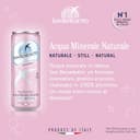 Acqua Minerale San Benedetto, Acqua Minerale Naturale Oligominerale microbiologicamente pura, in lattina da 33 cl - 3