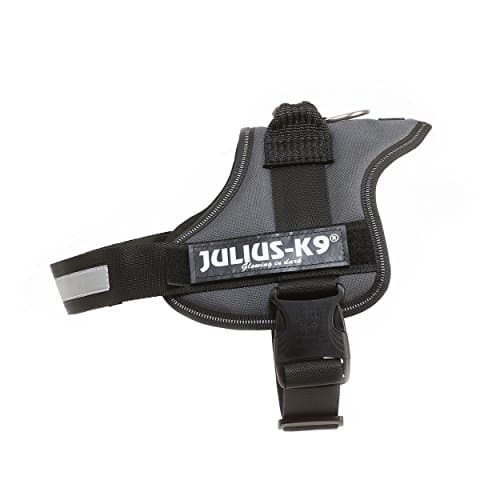 JULIUS-K9Powerharness, Size: 2XL/3, Anthracite