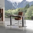 FLEXISPOT Telaio da tavolo regolabile in altezza, doppio motore e gambe a 3 livelli, scrivania regolabile in altezza, telaio con indicatore di altezza LED, 4 posizioni di memoria e protezione contro - 2