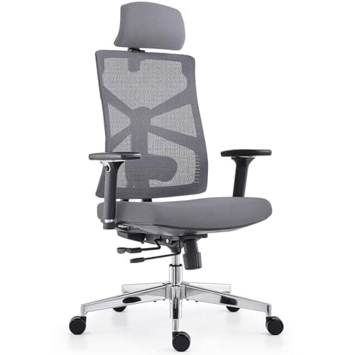 HOLLUDLE Silla de Oficina Ergonómica con Respaldo Adaptativo, Silla de Escritorio de Alto Respaldo con Reposabrazos 4D, Profundidad de Asiento Ajustable, Soporte Lumbar y Reposacabezas 2D, Negro y Gri