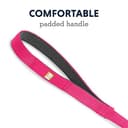 Ruffwear Correa para Perros Front Range de 1,5 m con Asa Acolchada, Ligera y Resistente, Correa para Perros antienredos y Correa para Adiestramiento para Perros Antitirones, Pez de Arrecife - 6