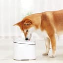 Xiaomi Smart Pet Fountain EU - 7