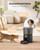 Futterautomat Katze - Katzenfutter Automat mit Programmierbarem Timer - 1-6 Mahlzeiten pro Tag - Futterspender Hund mit Pressedeckel und 10s Aufnahmefunktion - 3L - 4