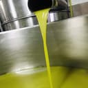 5 liters of 100% Italian Martino Extra Virgin Olive Oil - Can with double anti-pride cap - 6