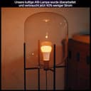 Philips Hue White & Color Ambiance E27 LED Glühbirne, 1100lm, 16 Mio. Farben, dimmbares LED Licht, Leuchtmittel steuerbar via App und Stimme, kompatibel mit Amazon Alexa, 1er Pack, neue Generation - 6