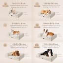 EHEYCIGA Cuccia Cane Interno Taglia Media, Cuscino Cane Impermeabile Sfoderabile e Lavabile, Letto per Cani con tre Lati Rialzati Ortopedico, Cuccia Divano per Cani, Beige, 76x51x16cm - 5