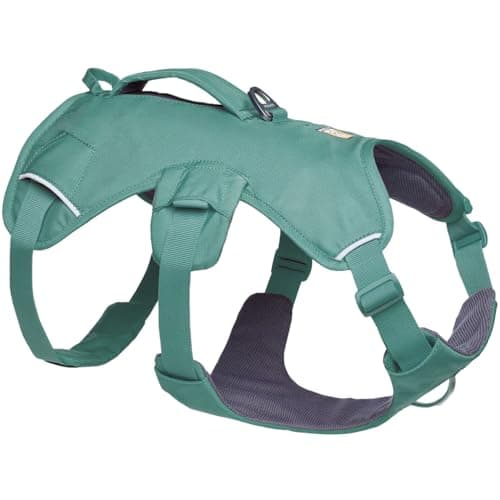 Ruffwear Web Master Dog Harness, Y-Front Dog Harness with Handle & Improved Buckle, Adjustable & Lightweight for Walks & Hikes, Anti Escape, No Pull, Breathable & Comfy, River Rock Green, Medium