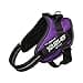 JULIUS-K9 IDC Powerharness, Size: S/Mini, Dark Purple - 3