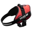 Julius-K9 16IDC Power Harness - 1