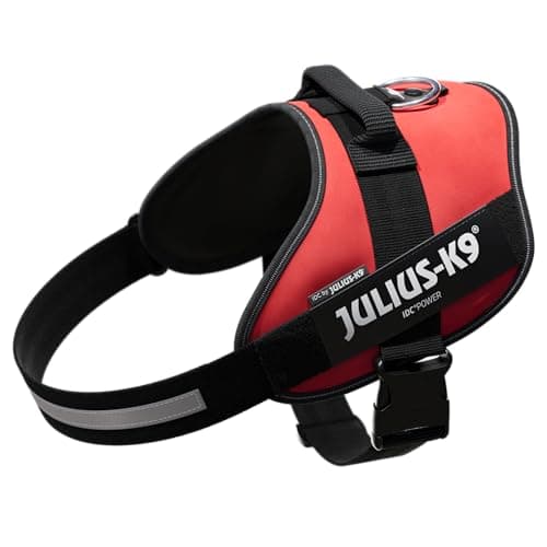 Julius-K9 16IDC Power Harness