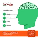 toraldo box cialde 44mm miscela cremosa 150pz - 5