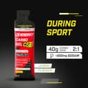Enervit Carbo Gel C2:1PRO con Sodio, Gel Energético con 40g de Carbohidratos, Actividades de Alta Intensidad, +50% Carbohidratos Absorbidos, Sabor Lima, Sin Gluten, Alta Digestibilidad, 24 Pack x 60ml - 2