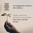 illy Kaffeebohnen Luxus Arabica Kaffeebohnen Auswahl Äthiopien 6er Pack (6 x 250 g) - 5