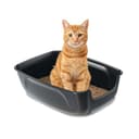 Ferplast Arenero Gato, XXL, Abierto, Fácil Limpieza, Negro, L 67 × A 49 × A 24 cm - 1