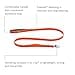 Ruffwear, Front Range Dog Lead 1.5m Long Leash with Padded Handle for Everyday Walking - Blaze Orange - 2
