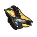 Julius-K9, IDC Powergeschirr, Größe: M/0, Crazy - 7