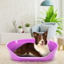 Ferplast Cuccia Cane in Plastica SIESTA DELUXE 10, Lettino per Cani, Cuccia per Cane da Interno , Cesta Cane con Antiscivolo, Fondo Forato e Poggiamento, 93,5 x 68 x h 28,5 cm - 3