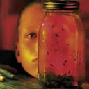 Jar Of Flies - 1