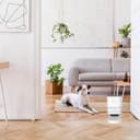 Groov-e Pet-Tech Smart Wi-Fi Pet Feeder – Automatic Cat and Small Dog 4L Dry Food Dispenser, Smart WiFi App Control, Up to 10 Meals Daily, Personalised Meal Call – Battery or Mains Powered – White - 4