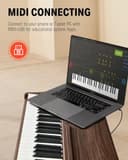 Donner DDP-80 Teclado de Piano Digital 88 Teclas, Acción de Martillo II, Piano Eléctrico para Hogar con Soporte, Triple Pedal, Conexión MIDI y Auriculares, Color Madera Nogal - 7